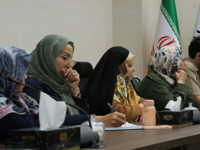دکتر علیرضا آتشک از الگوهای پایدار تأمین منابع در بخش نیکوکاری گفت