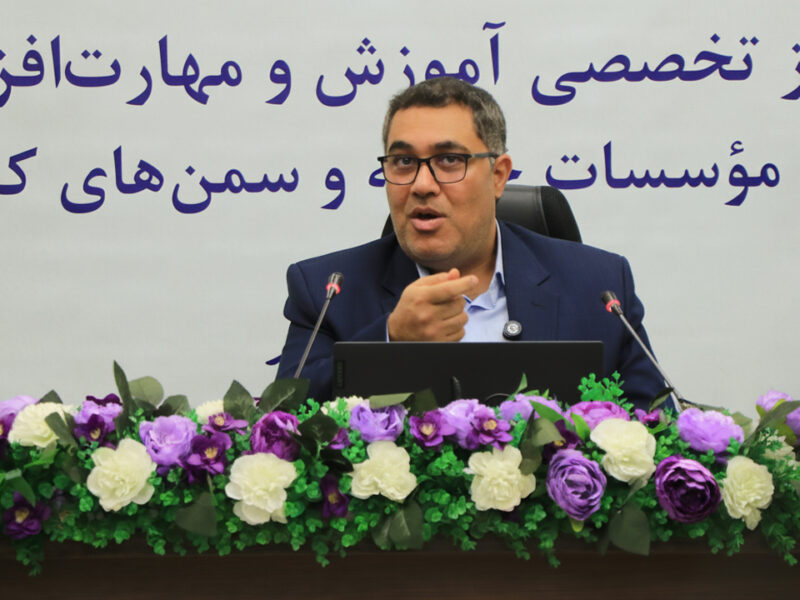 ضرورت تشکیل مرکز رصد قوانین نهادهای مردمی مورد تاکید است
